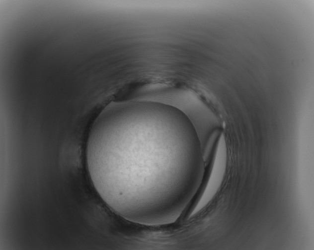 X0000089760689200706281644