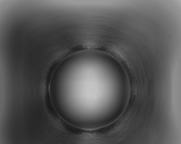 X0000089760690200706281644