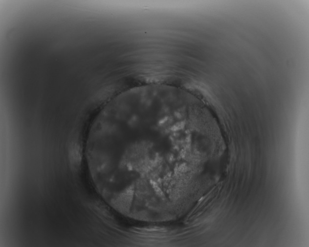 X0000089760691200706281644