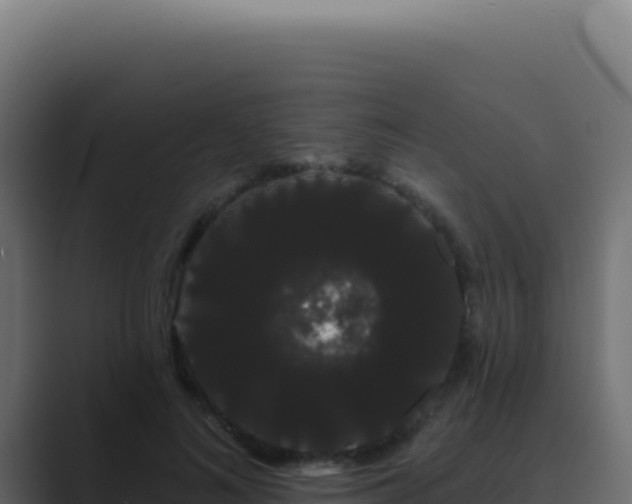 X0000089760692200706281644