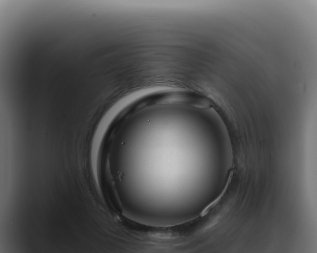 X0000089760693200706281644