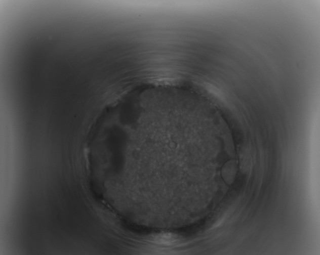 X0000089760695200706281644