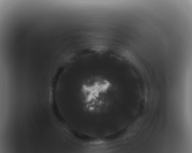 X0000089760696200706281644