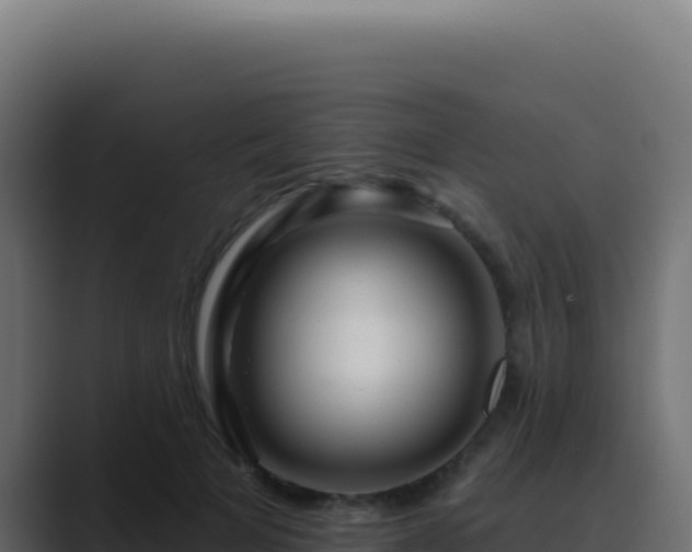 X0000089760697200706281644