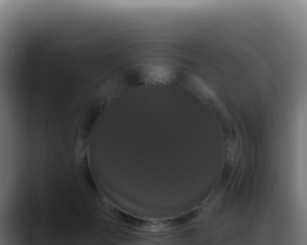 X0000089760701200706281644