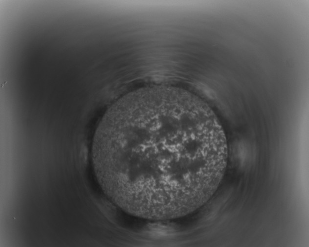 X0000089760703200706281644