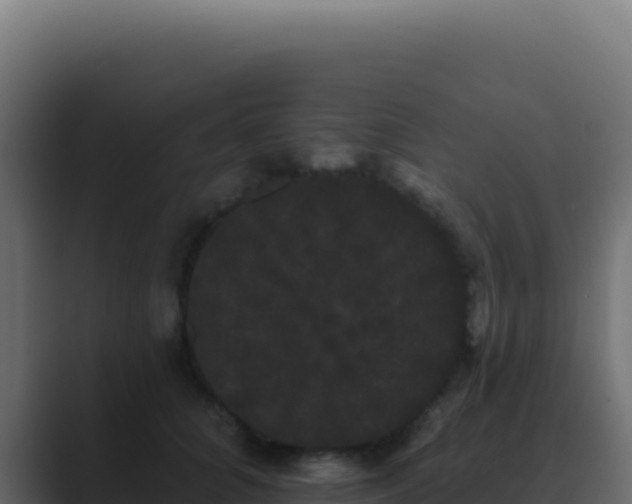 X0000089760704200706281644