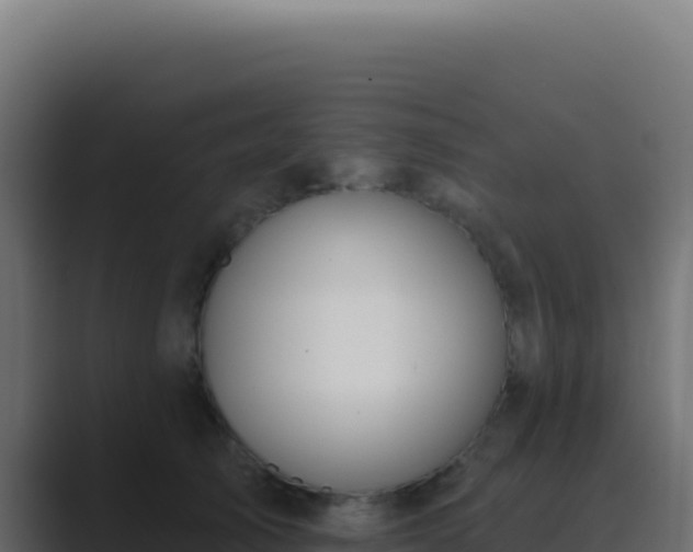 X0000089760705200706281643