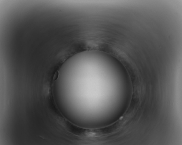 X0000089760706200706281643