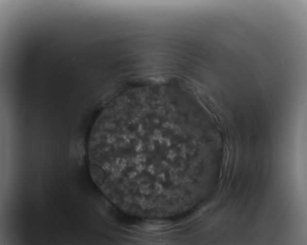 X0000089760707200706281643
