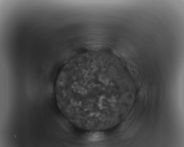 X0000089760711200706281643