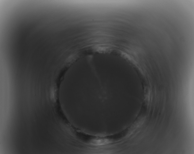 X0000089760712200706281643