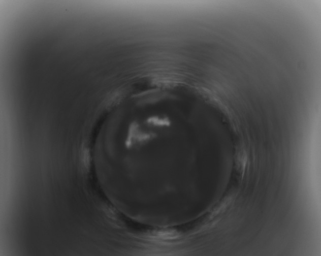 X0000089760716200706281643