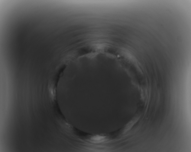 X0000089760718200706281643