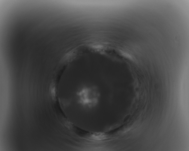X0000089760720200706281643