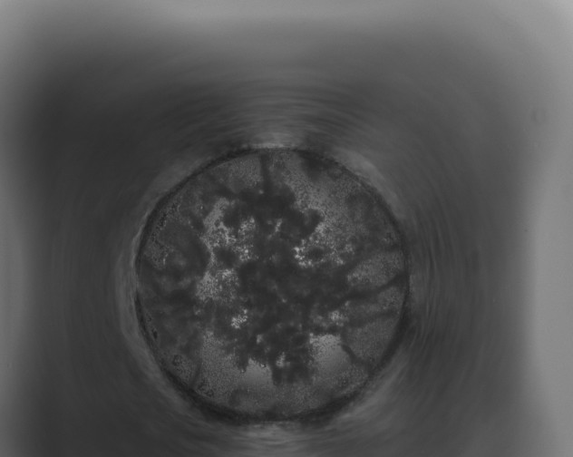 X0000089760721200706281643