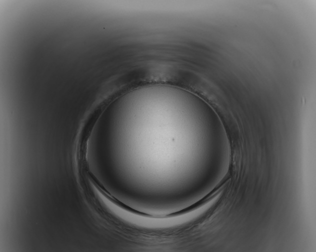 X0000089760722200706281643