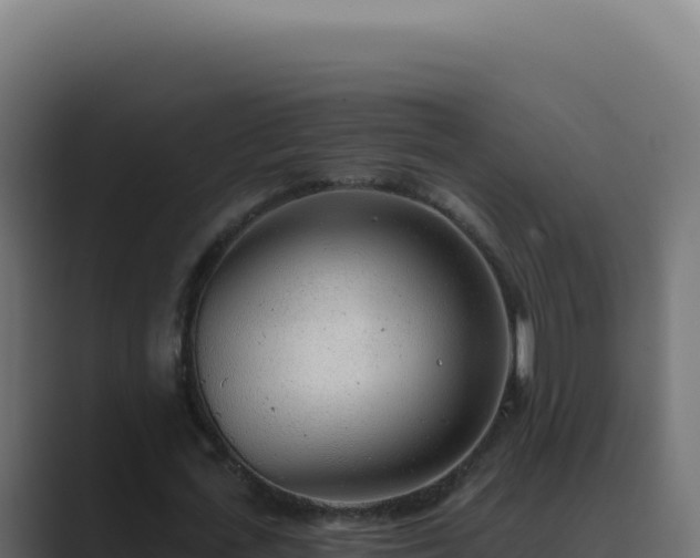 X0000089760723200706281643