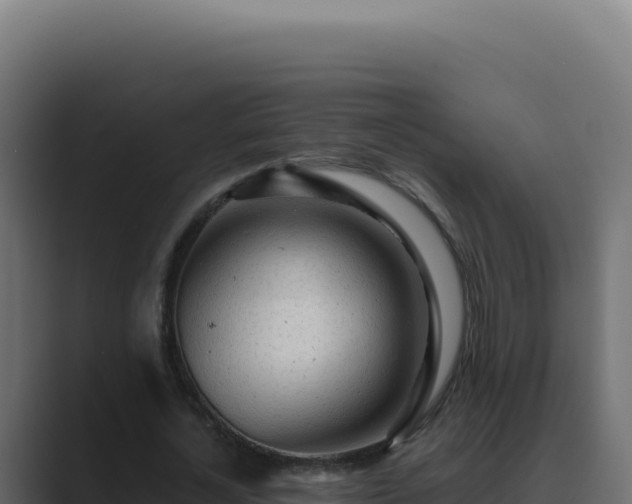 X0000089760724200706281643