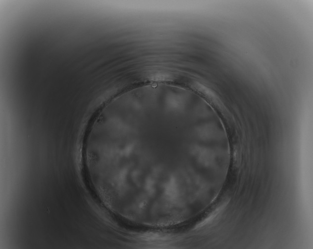 X0000089760725200706281643