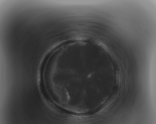 X0000089760726200706281643