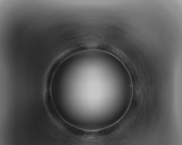 X0000089760728200706281643