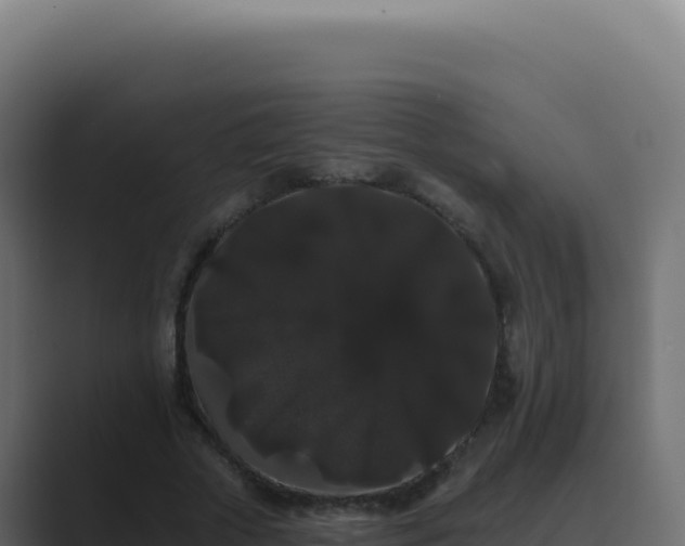 X0000089760729200706281643