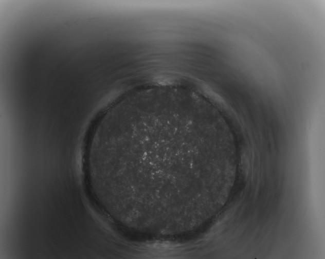 X0000089760730200706281643