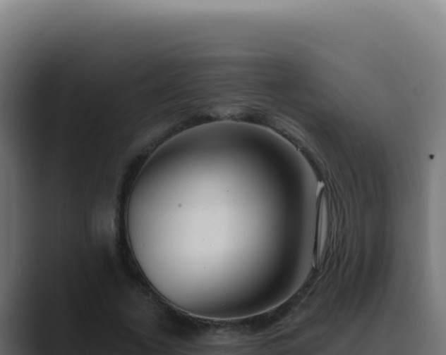 X0000089760732200706281643