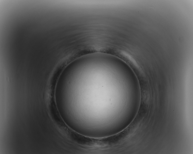 X0000089760736200706281643