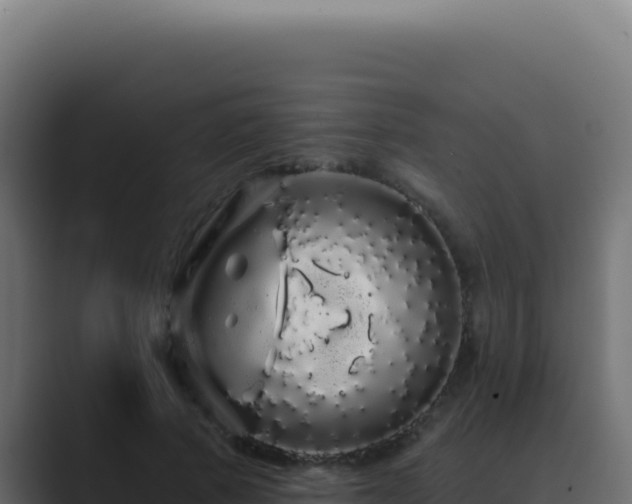 X0000089760737200706281643