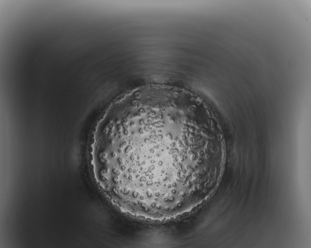 X0000089760738200706281643