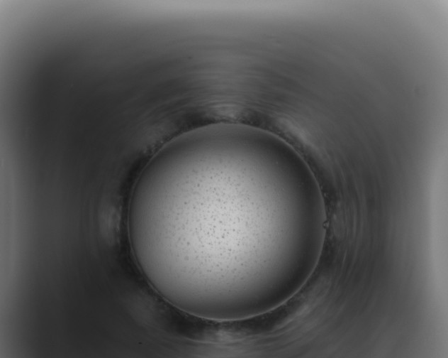 X0000089760739200706281643
