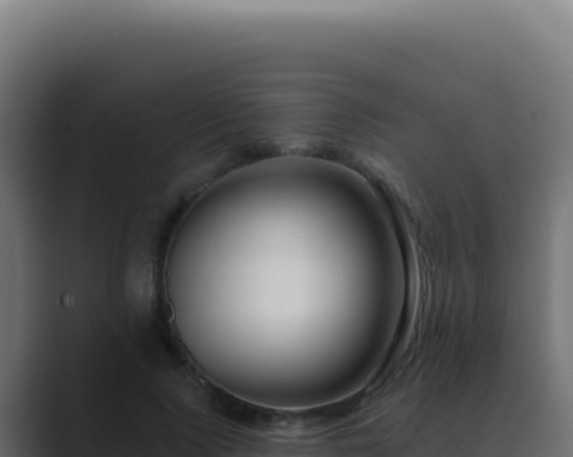 X0000089760740200706281643