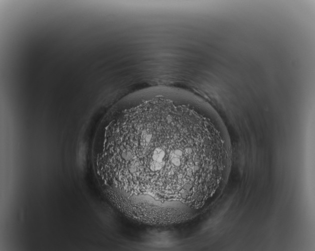 X0000089760742200706281643