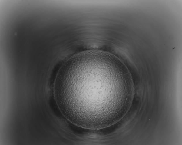 X0000089760743200706281643