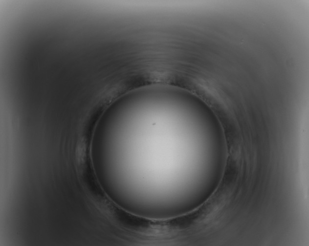 X0000089760744200706281643