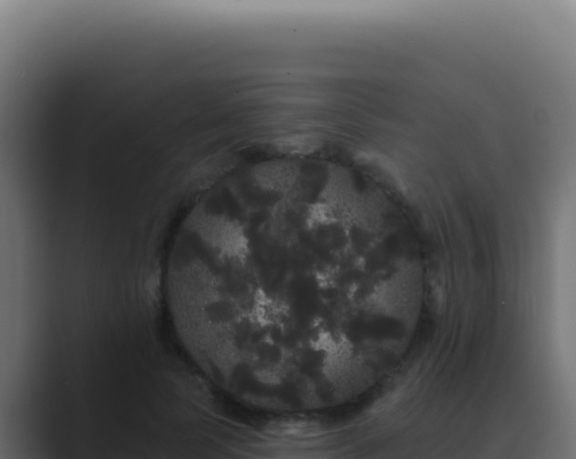 X0000089760745200706281643