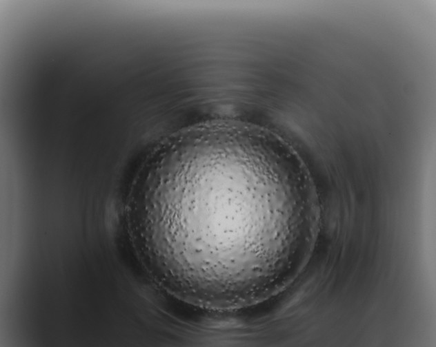 X0000089760747200706281643