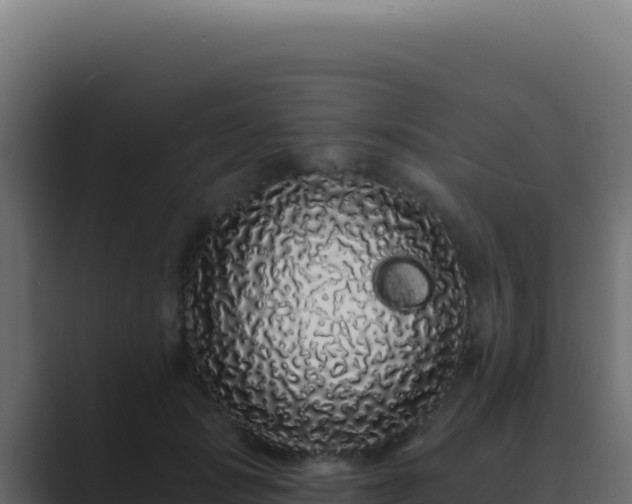 X0000089760749200706281643