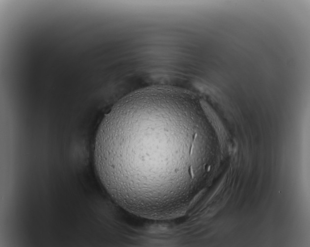 X0000089760751200706281643