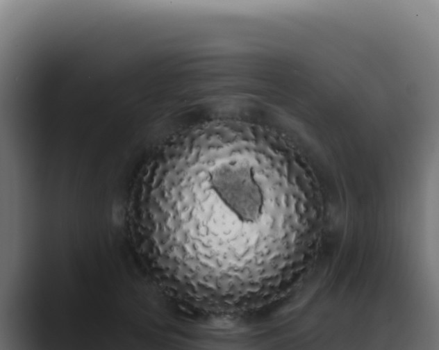 X0000089760753200706281643