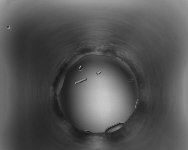 X0000089760756200706281643