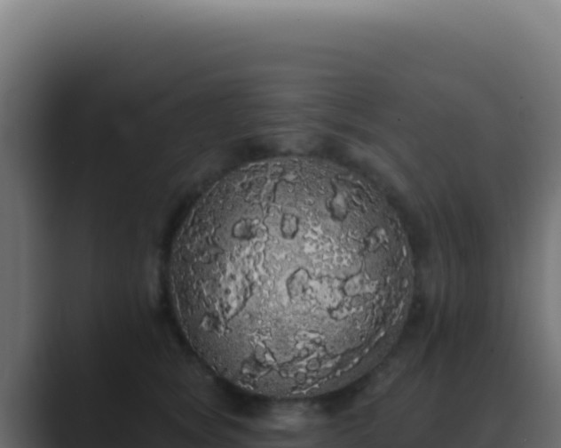X0000089760757200706281643