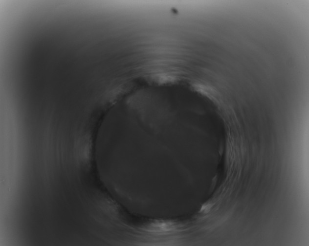 X0000089760760200706281643
