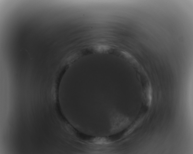 X0000089760762200706281643