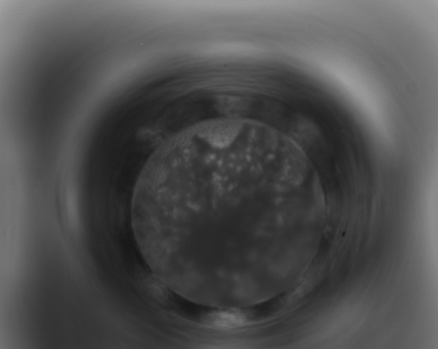 X0000089760765200706281643