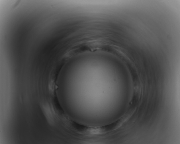 X0000089760767200706281643