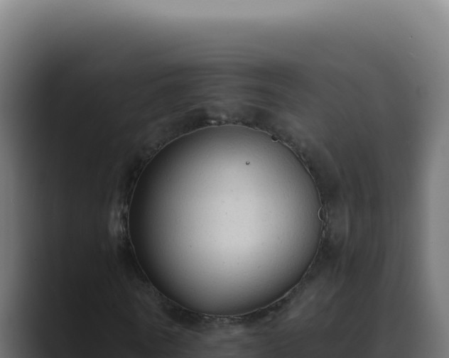 X0000089760770200706281643