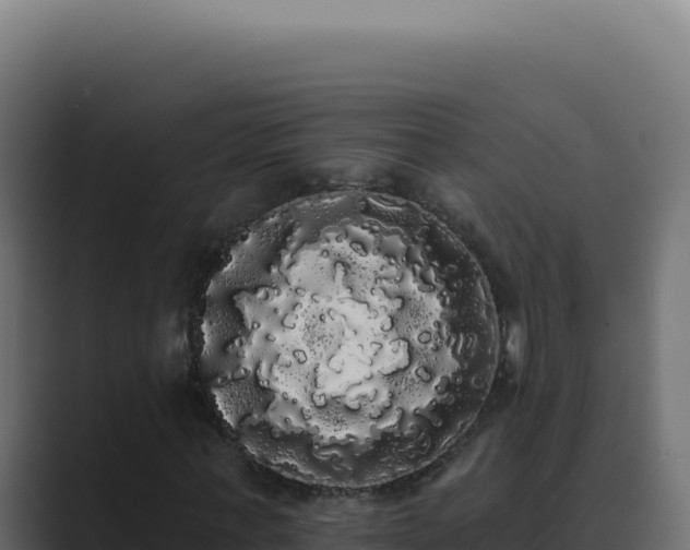 X0000089760771200706281643